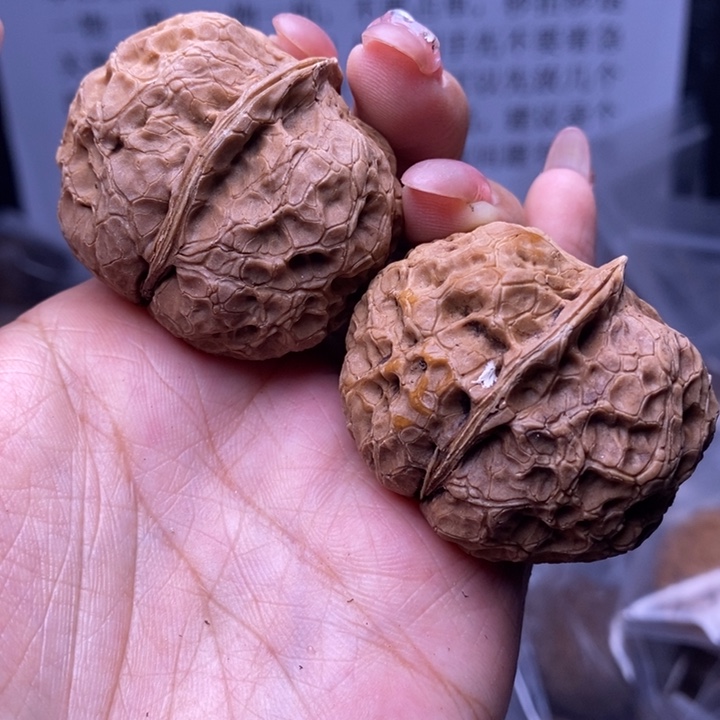核桃云南野生铁核桃24号42mm