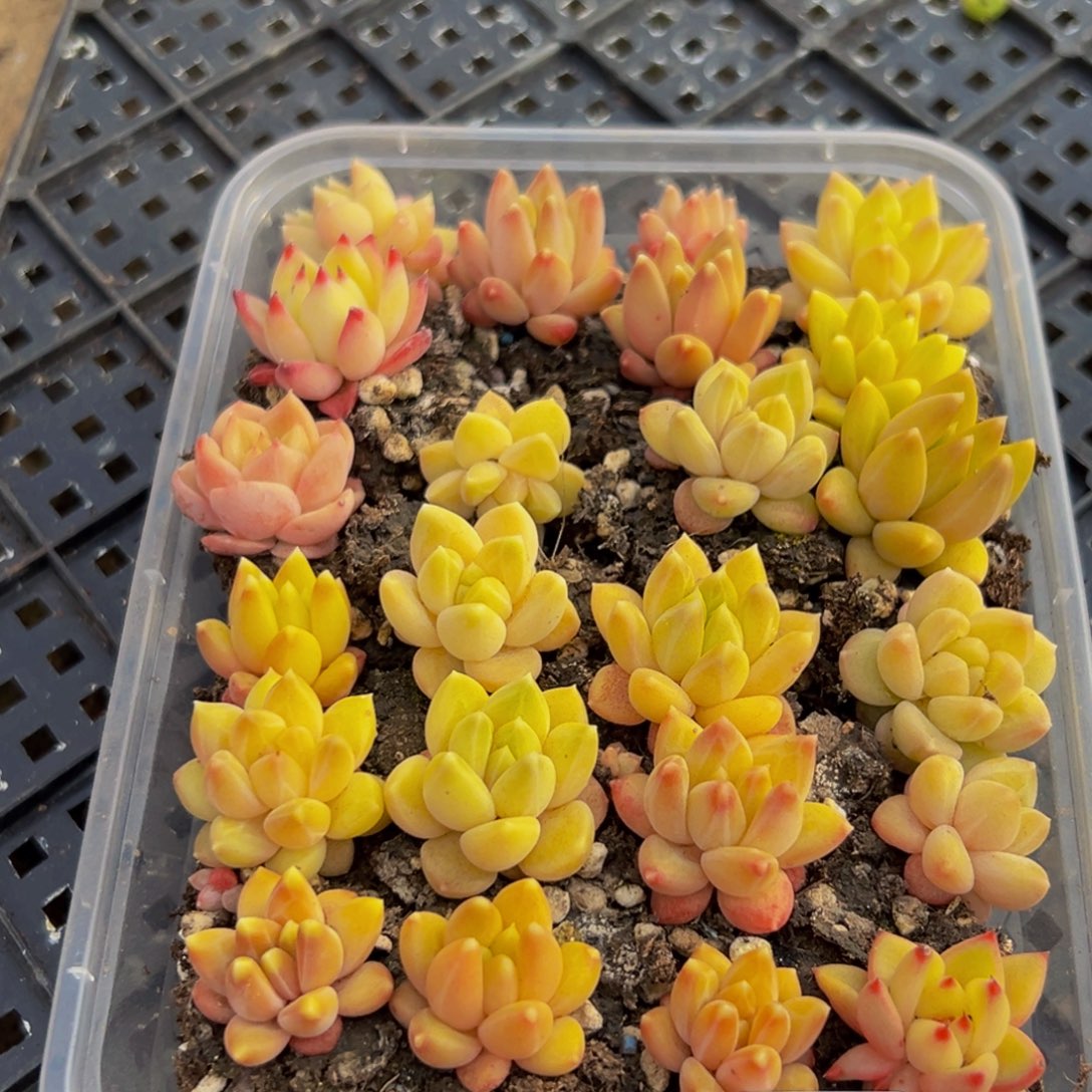 505大热天的一天从早上