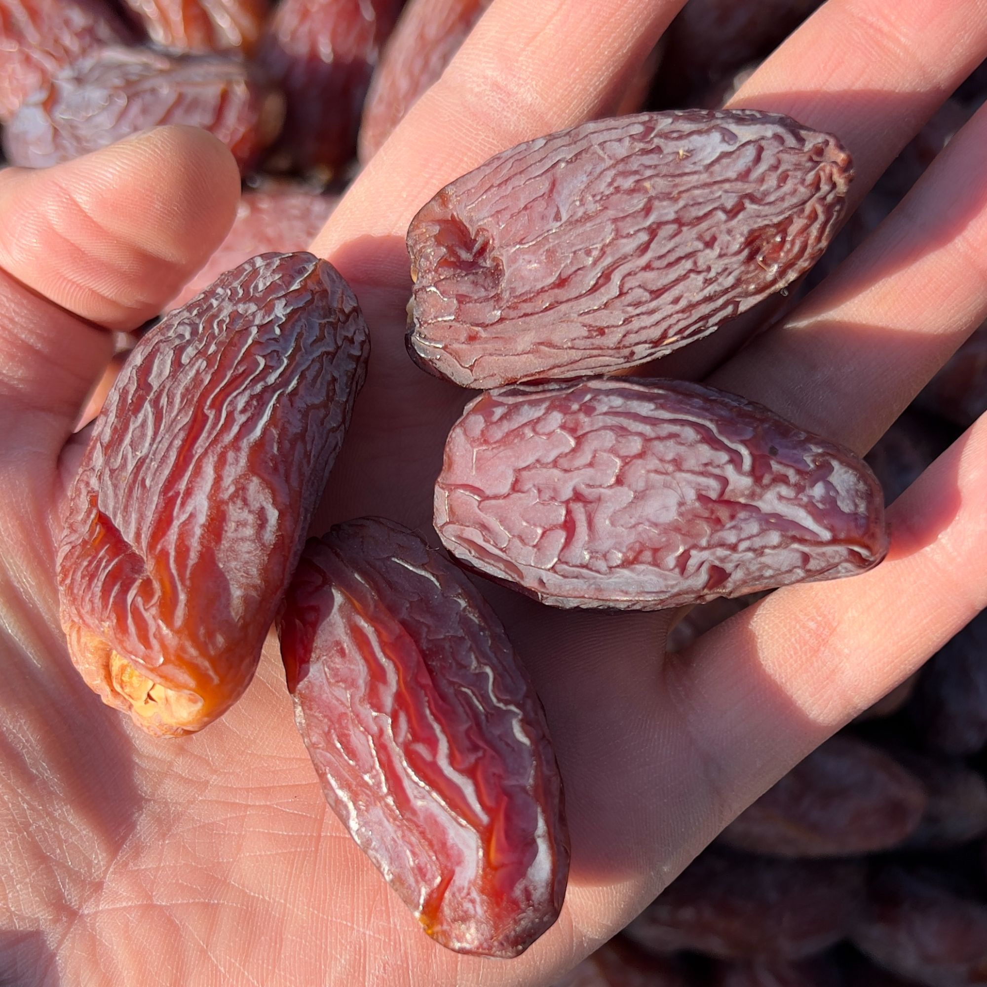 胖椰枣糖尿人专用零食品解馋零食无糖精黑椰枣干老人孕妇