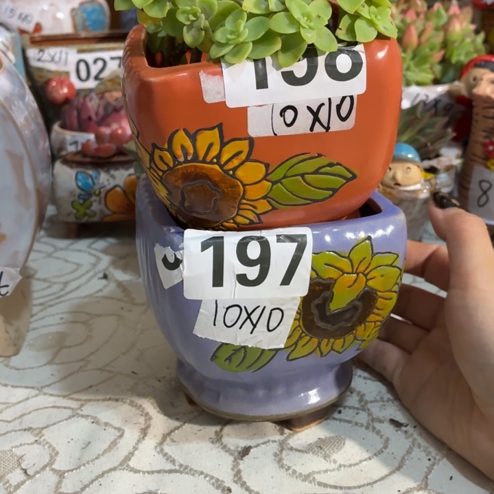 多肉花盆满15包邮爱退款拉黑