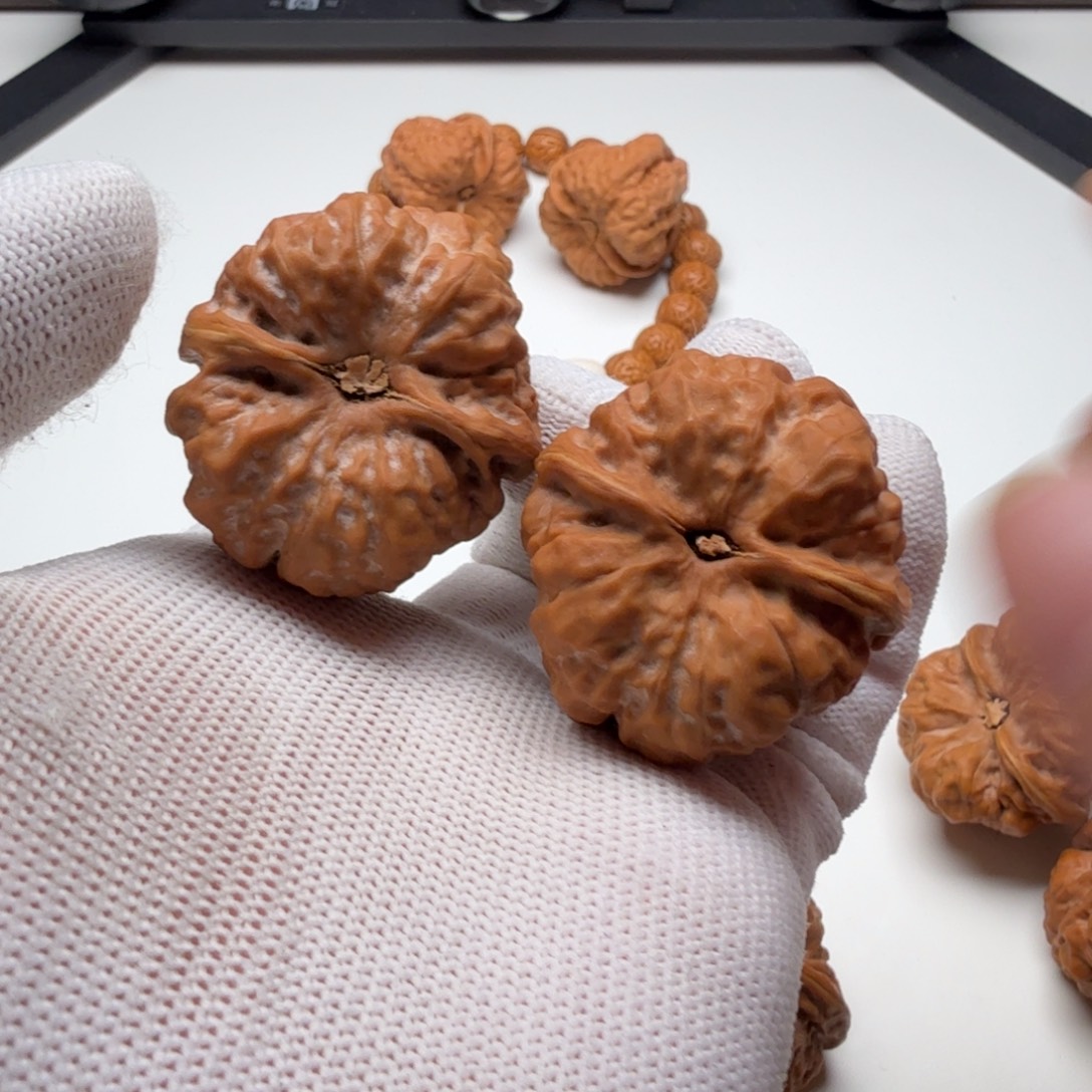 Q***e怀柔蛙蛙蛙蛙蛙蛙蛙