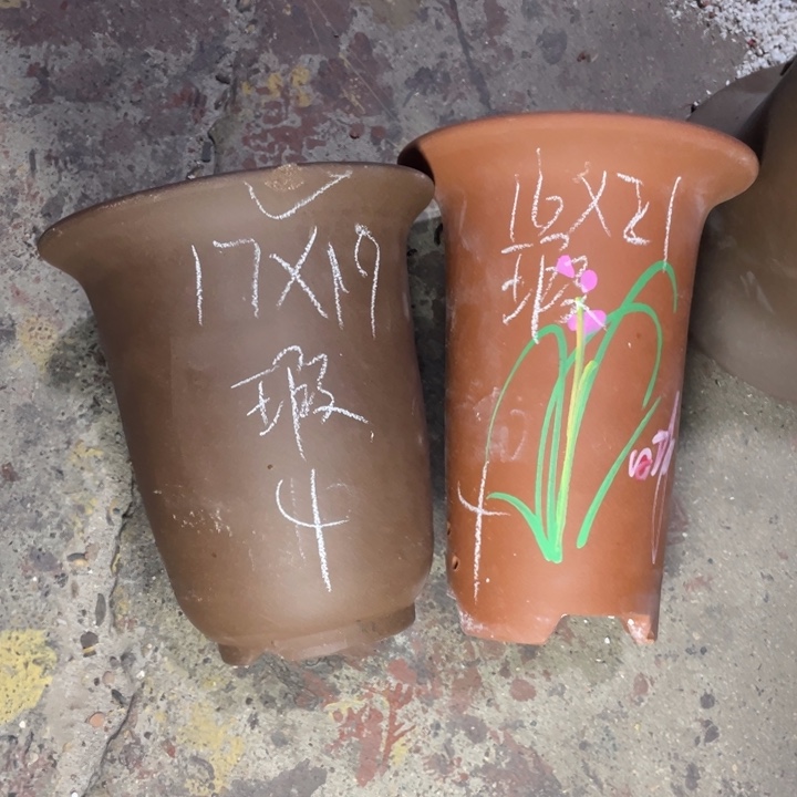 紫砂紫砂紫砂紫砂紫砂 