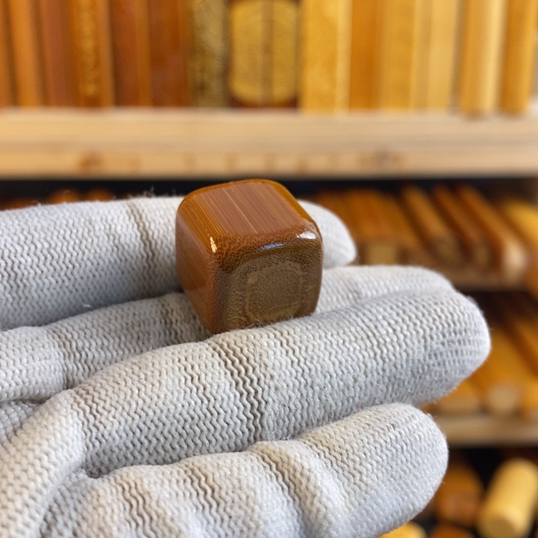 竹实心玉竹 一物一图