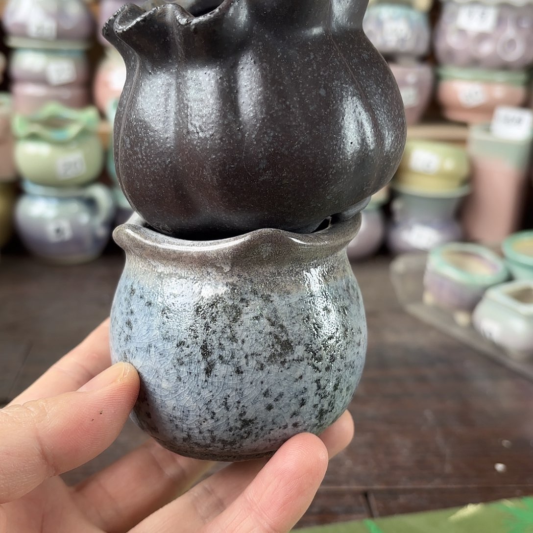陶瓷量货/口5-7高深浅搭配发6个
