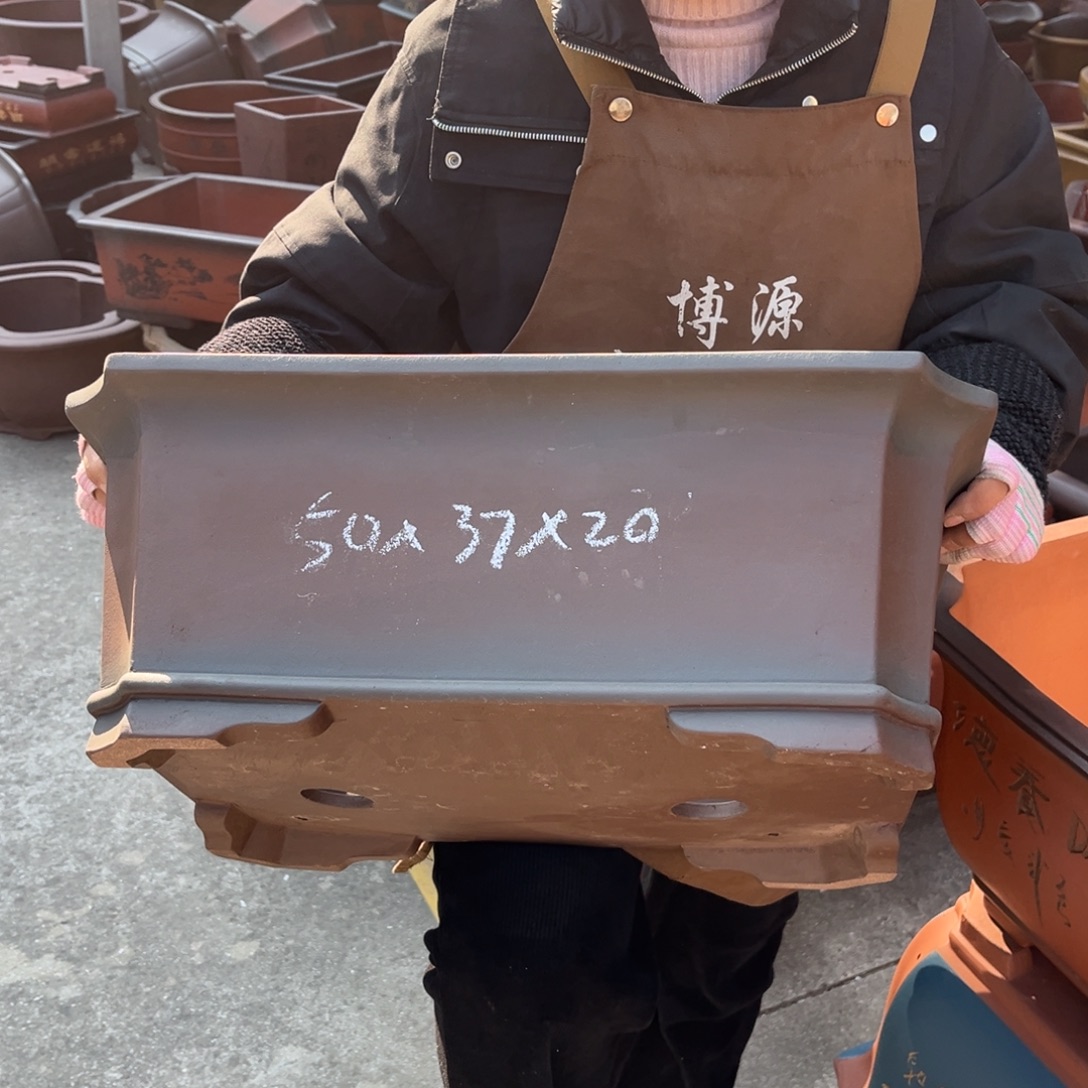 花盆紫砂盆景艺术