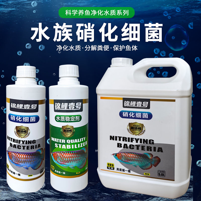鱼缸硝化细菌硝化菌消化细菌净化稳定水质清澈剂净水剂养鱼用品