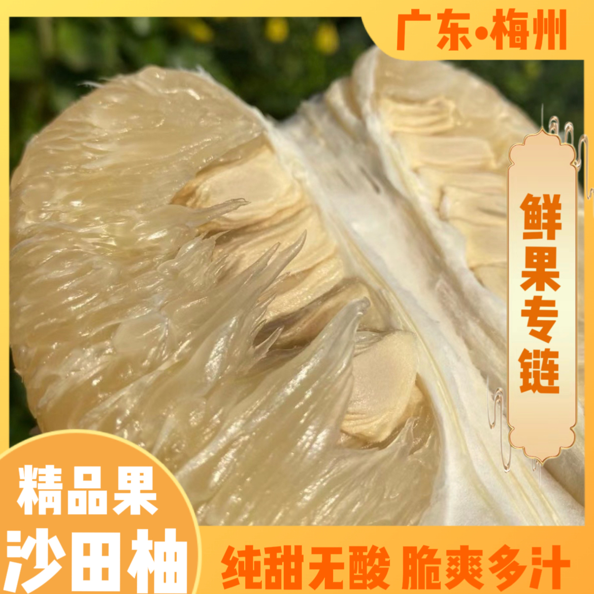 【沙田柚】正宗广东梅州沙田柚精品果应季水果纯甜无酸沙田柚子批发
