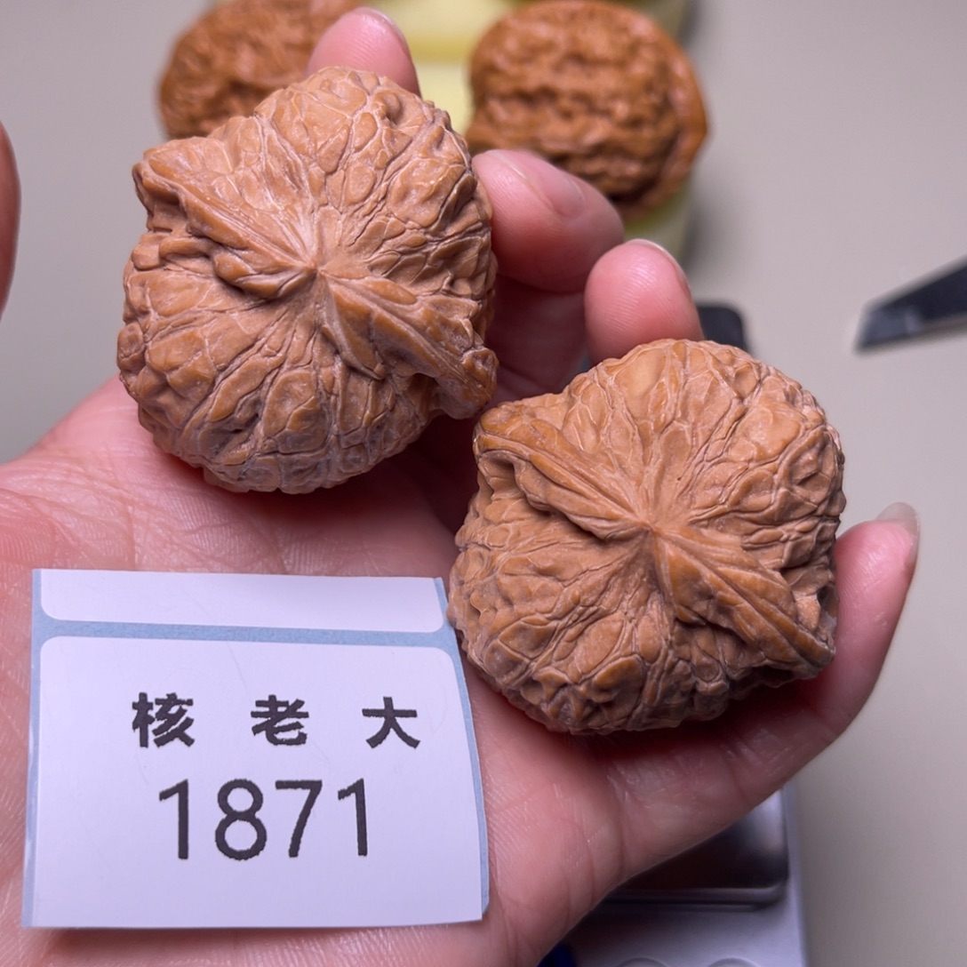 文玩核桃把件南瓜墩42 1871