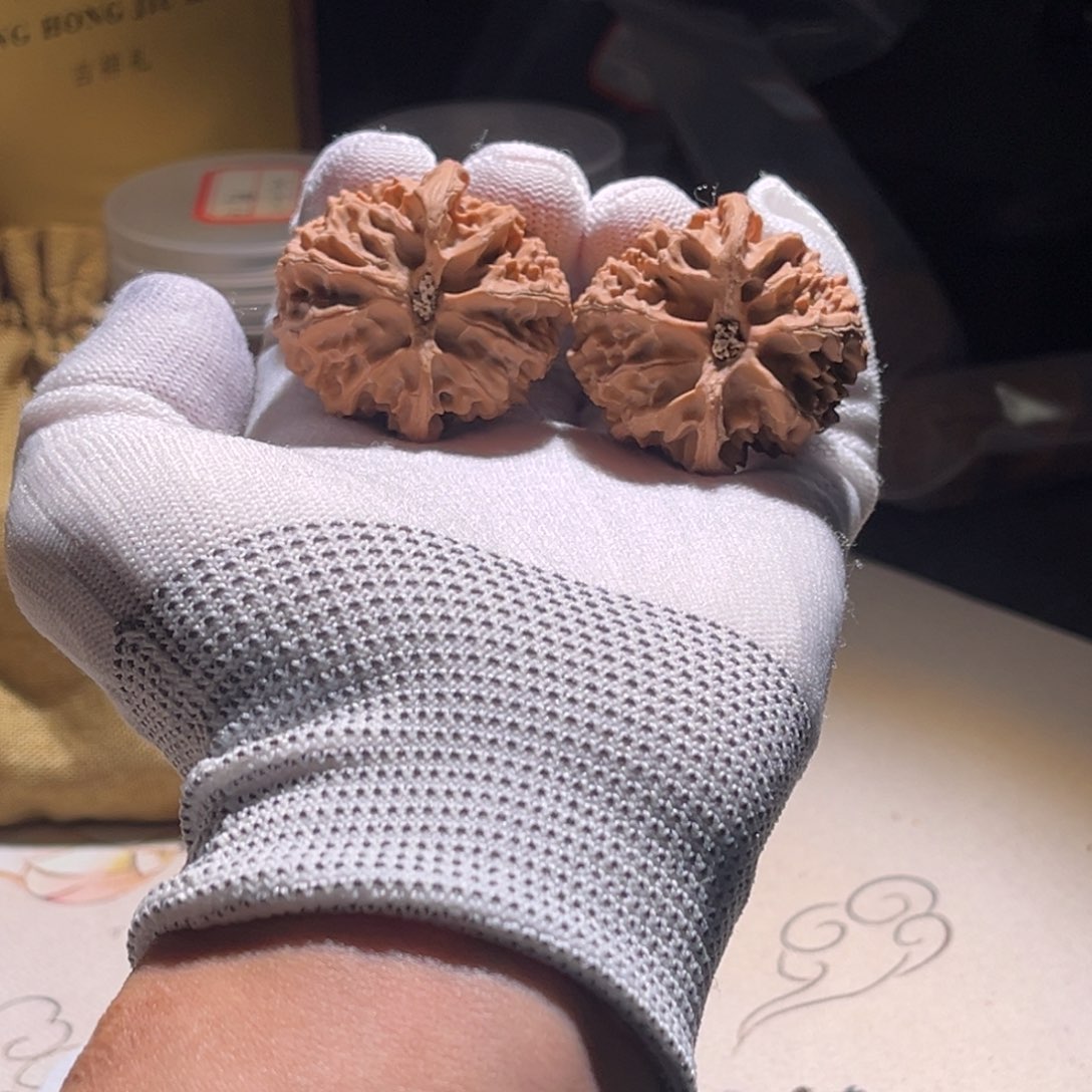 譬***露群的品。苹果园 苹果园。