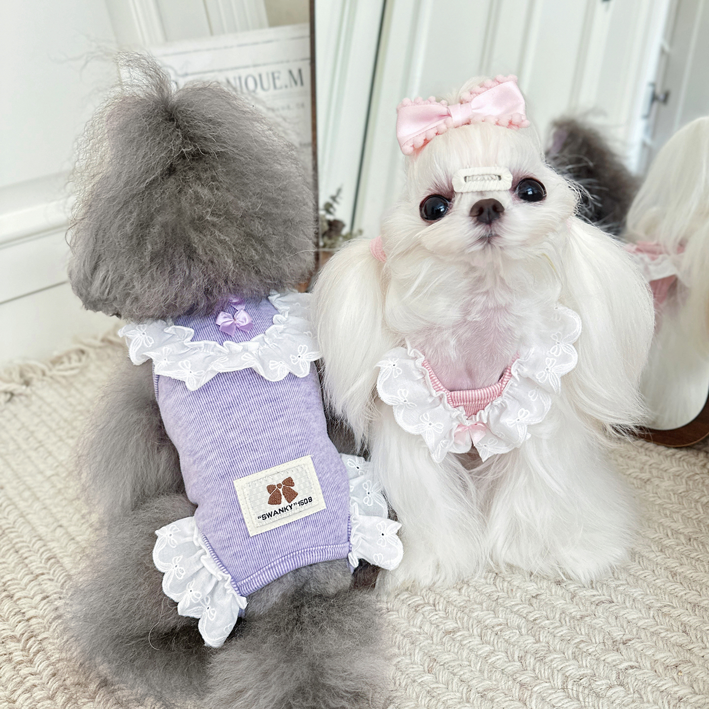 花边棉羊绒包肚衣宠物衣服秋冬季泰迪比熊小马约克夏茶杯狗春秋装