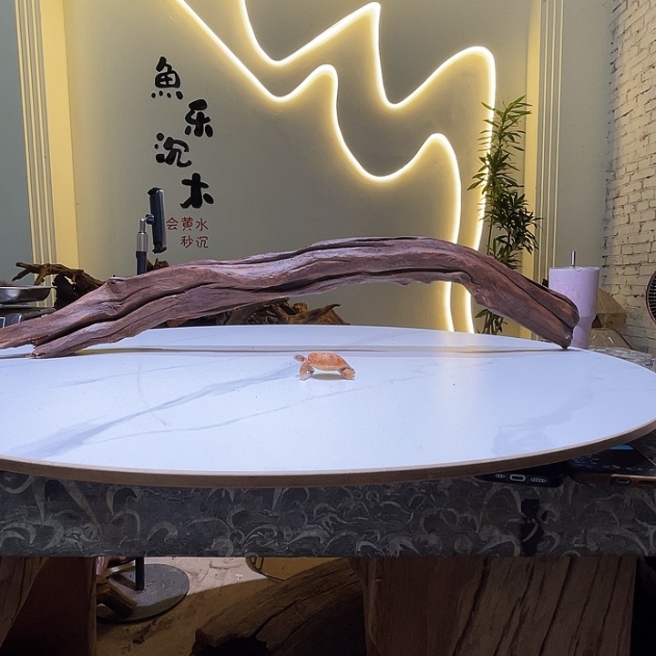 空***青会红黄黑水667。101 11 21