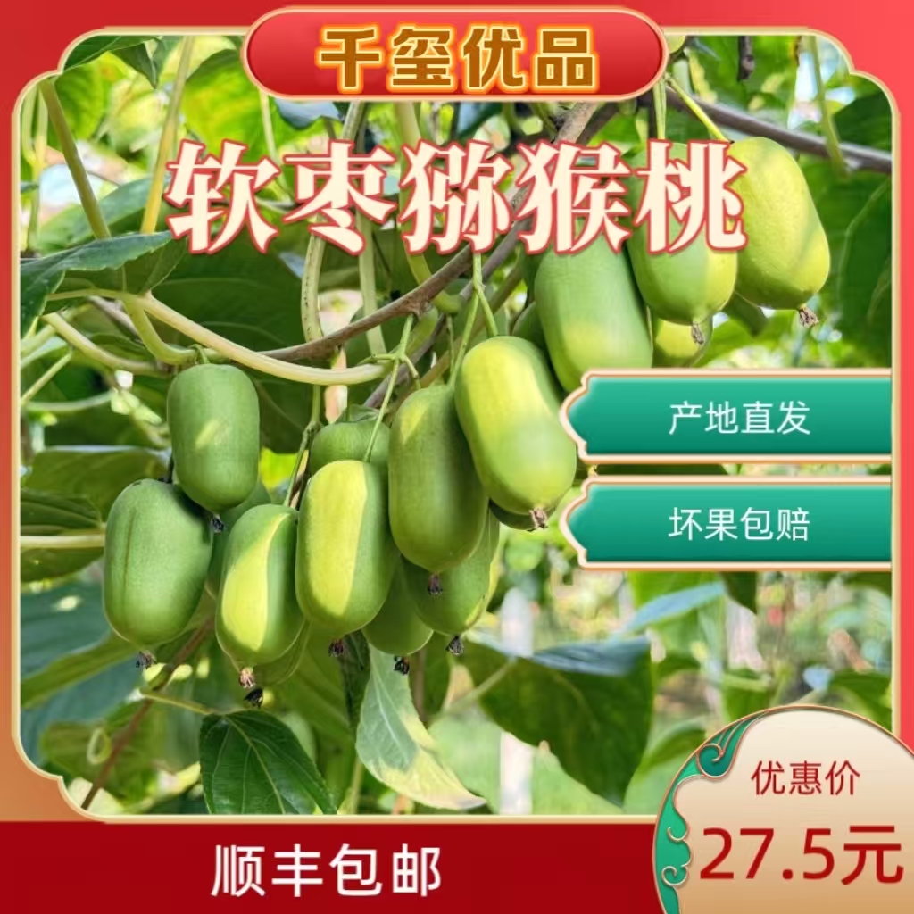 顺丰包邮【放软食用】庄河软枣猕猴桃3斤（约65-75)新鲜奇异梅