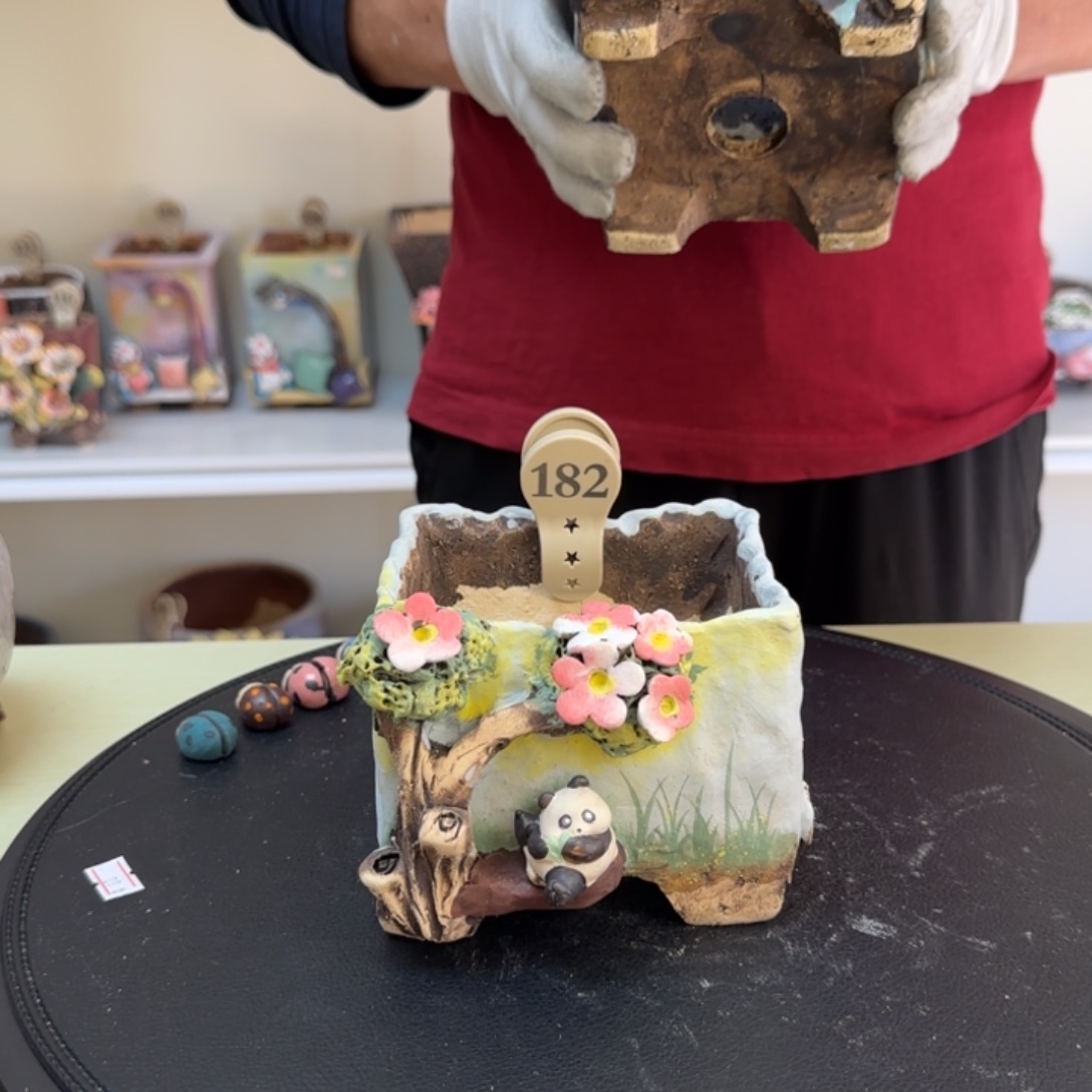 明***）182 【闪购】多肉花盆