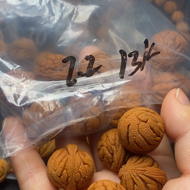 桃核吊坠秦岭山野生桃核