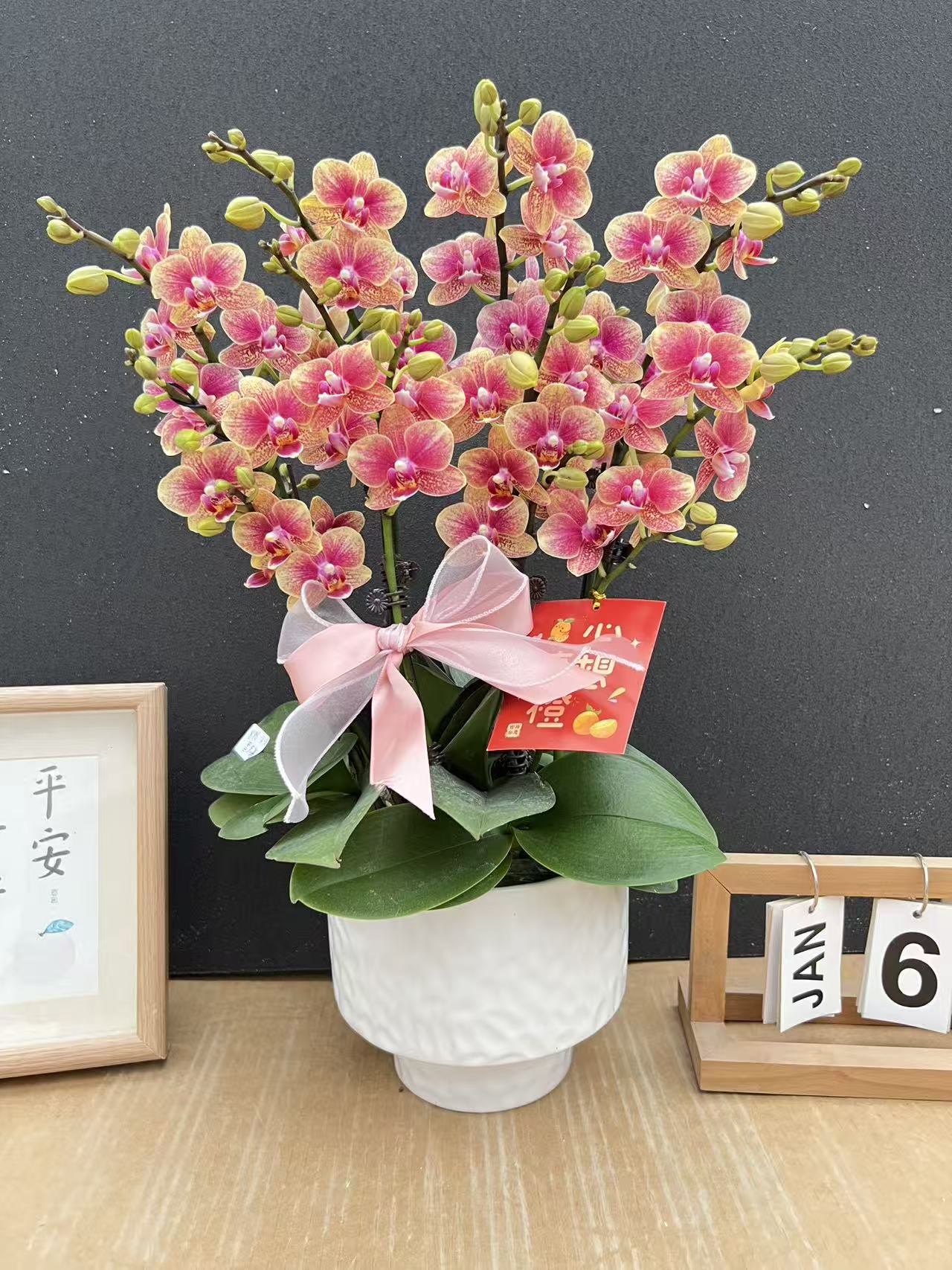 《聚宝盆》蝴蝶兰艺术组盆鲜花摆设高端花卉
