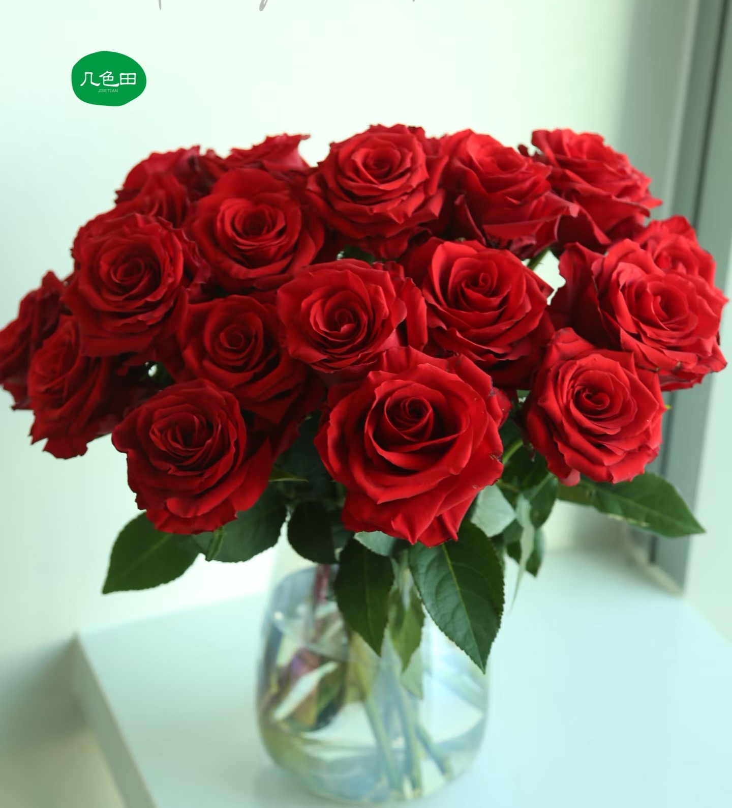 LADY----单头玫瑰云南直发鲜花云南花插花鲜花 