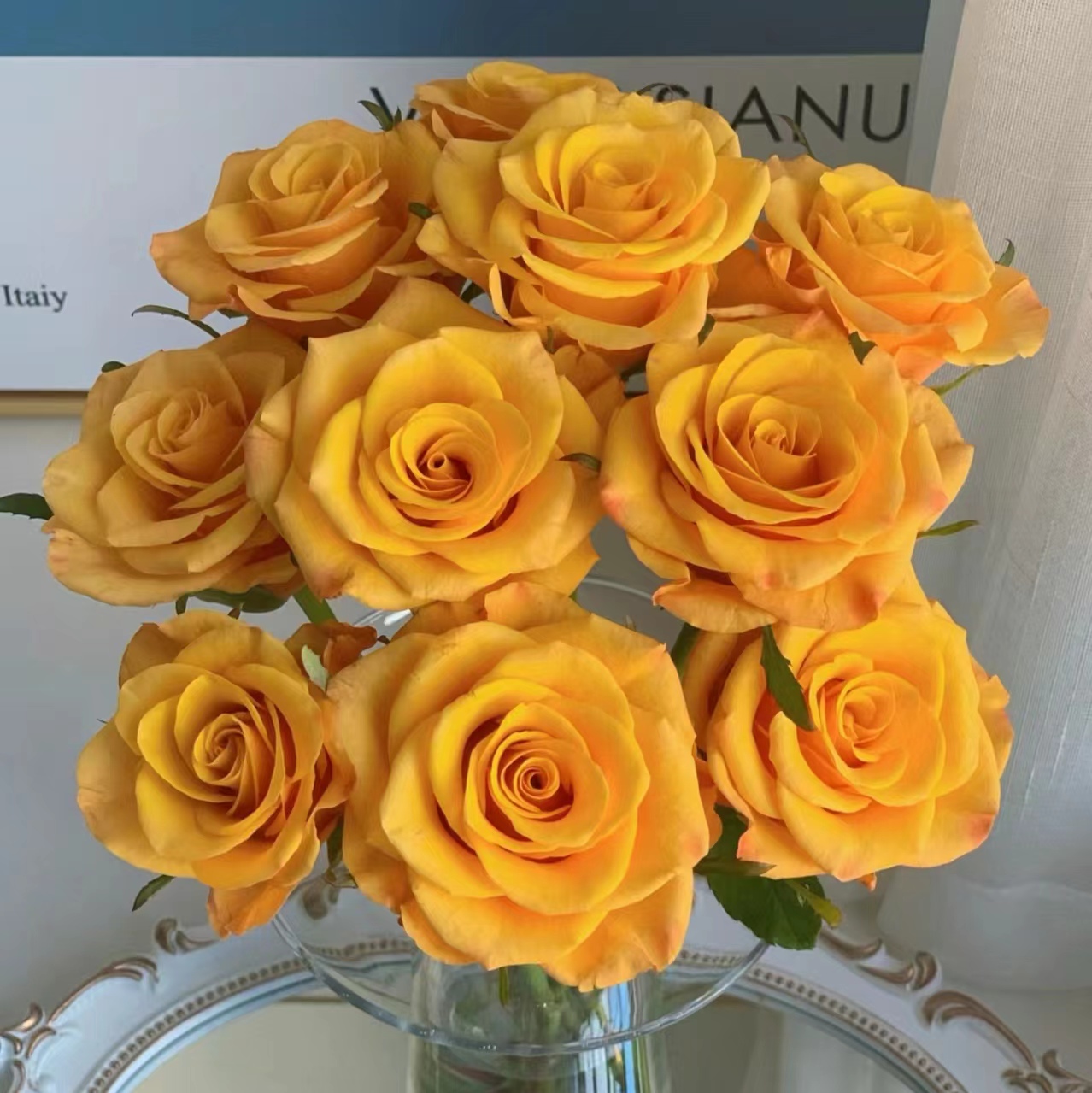 【辉煌】10枝单头玫瑰 基地直发 | 全场任意满鲜花两单包邮