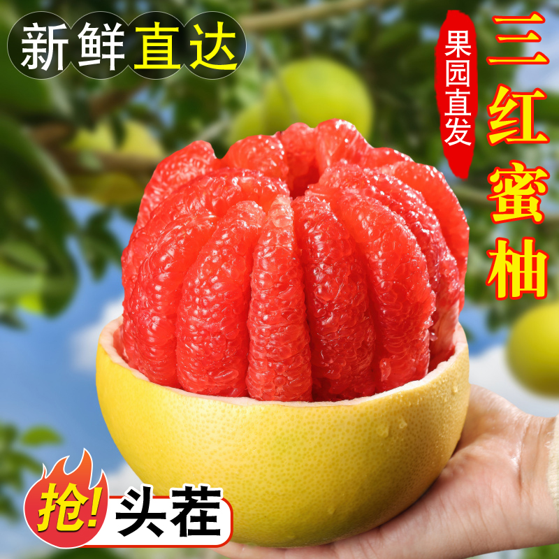 福建平和三红蜜柚礼盒装4.8-5斤/8.8-9斤新鲜水果应季时令甜多汁
