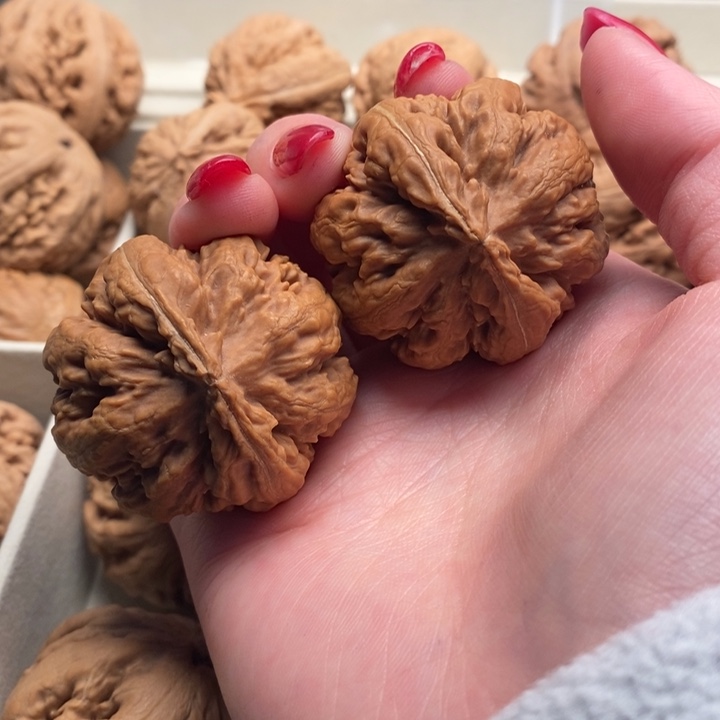 *****文玩核桃把件霸王龙