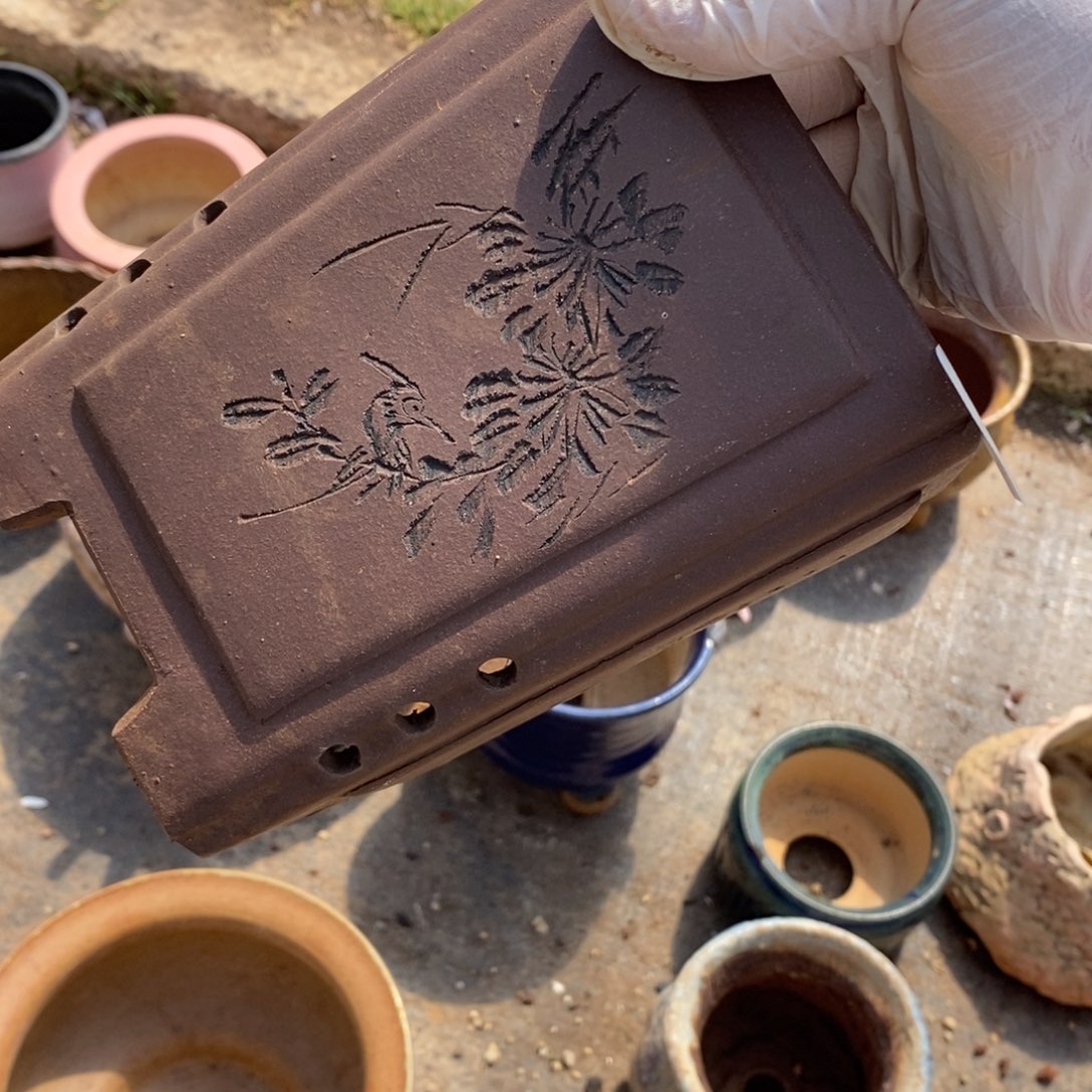 红陶习*5号多肉盆一个呀