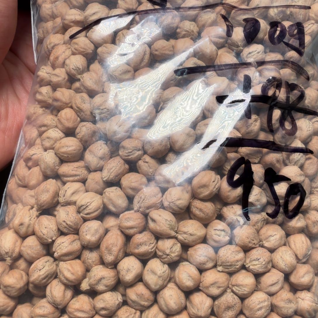 吊坠柏香籽/百香籽巳*