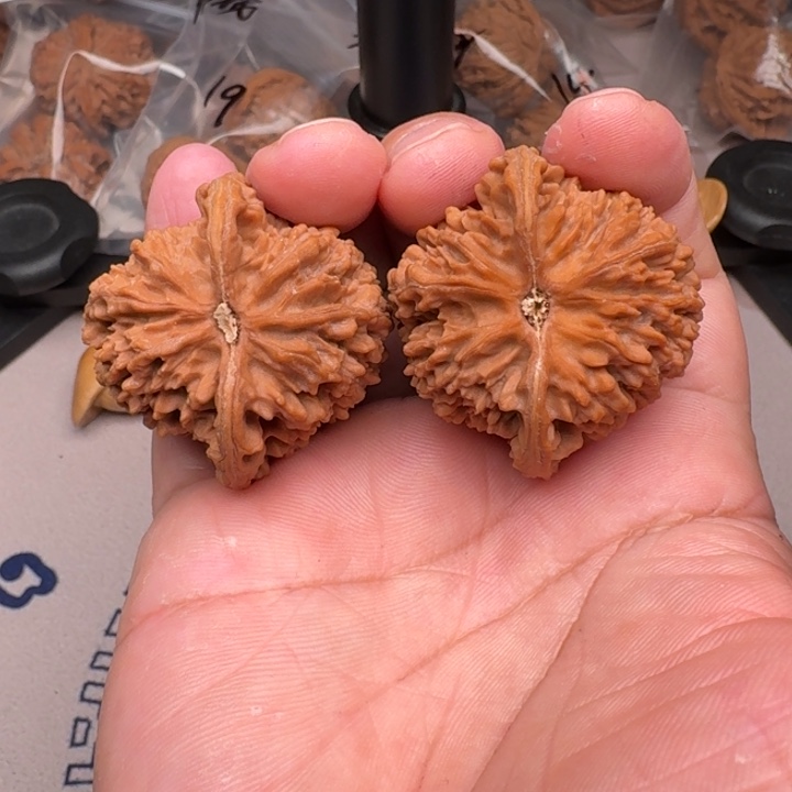 桃核把件山地满天星42尺23