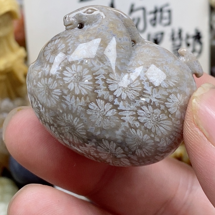 颈饰未镶嵌硅化珊瑚（珊瑚玉）