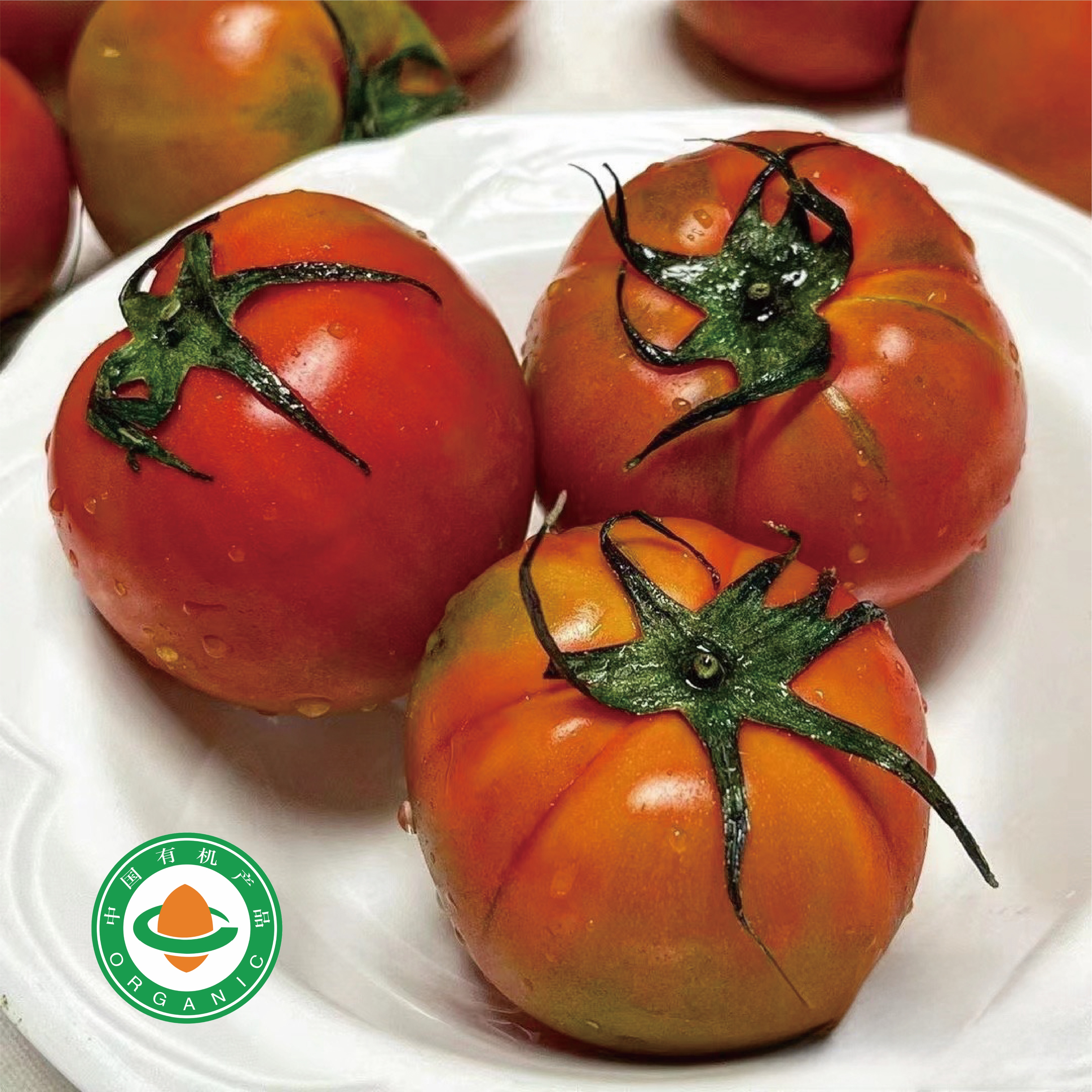 【有机王妃西红柿】熊本引入有机王妃番茄浓酸甜脆多汁鲜大小不一顺