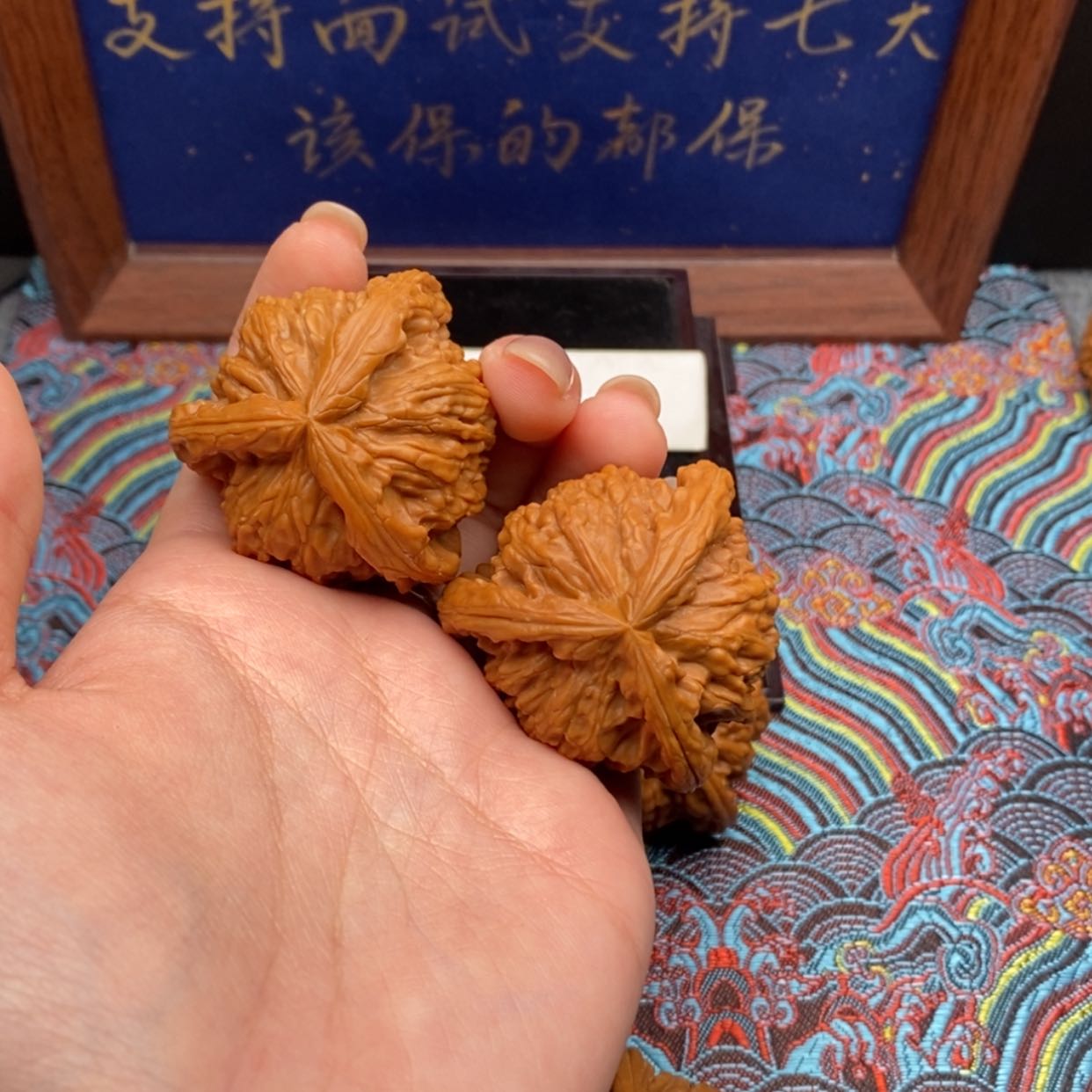 【闪购商品】從****。白狮