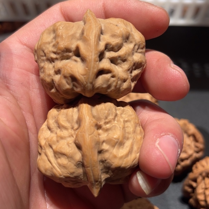 文玩核桃吊坠012古蝉