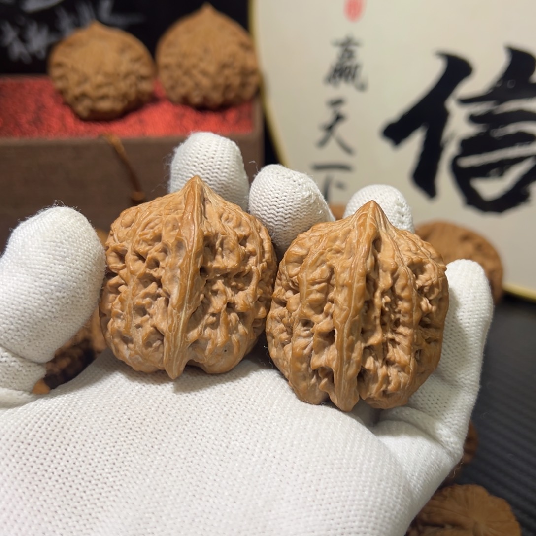 核桃全品无修京西北将军