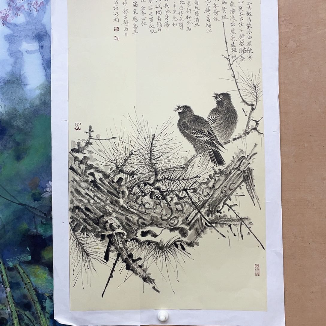 国画手绘国画，松八哥，花鸟