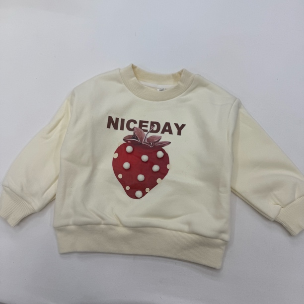 GZ 1-3【57】草莓加绒卫衣