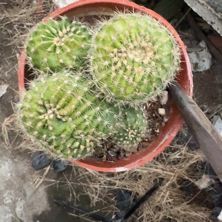 于***美无花朵彩草哈哈哈哈哈哈哈