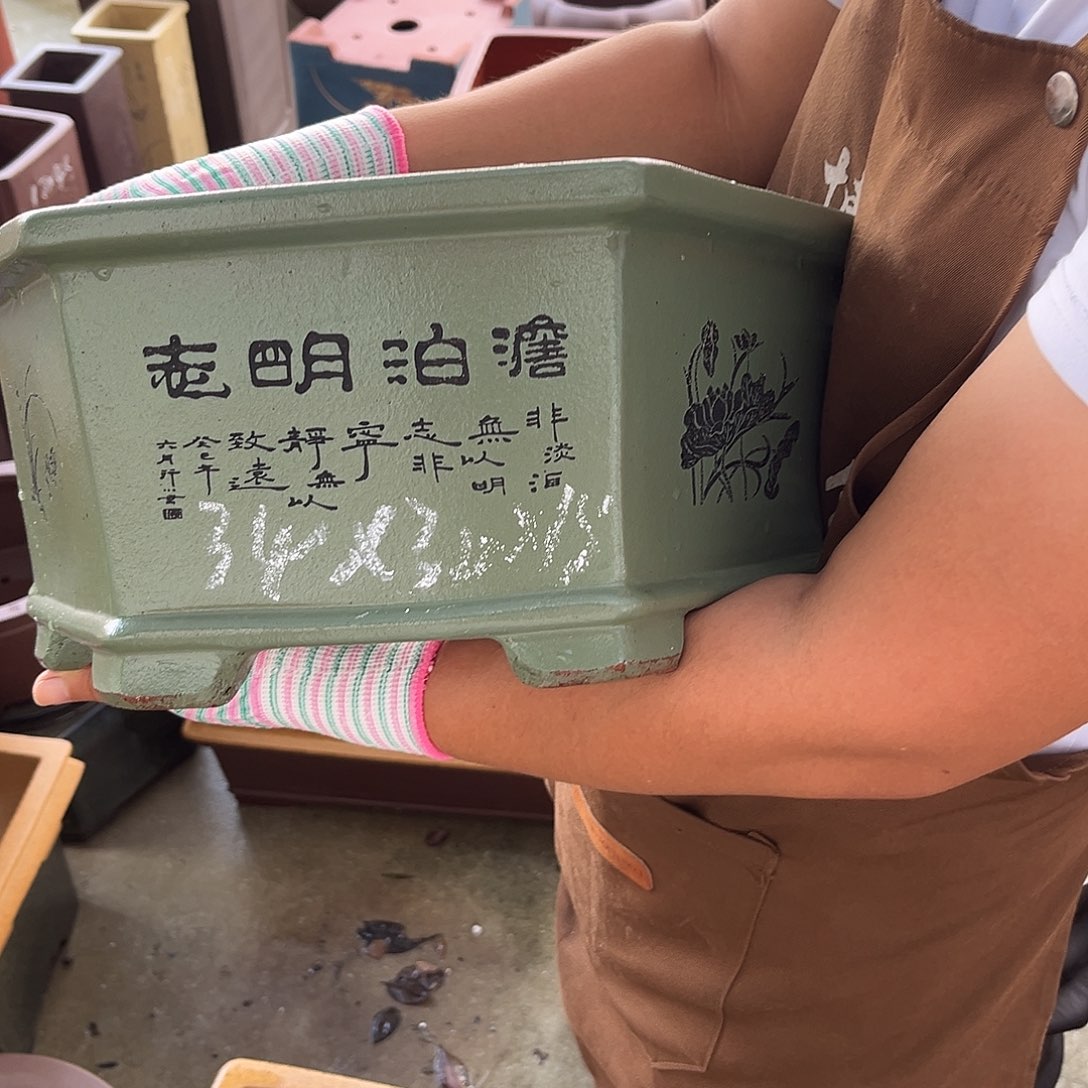 紫砂花盆盆景艺术