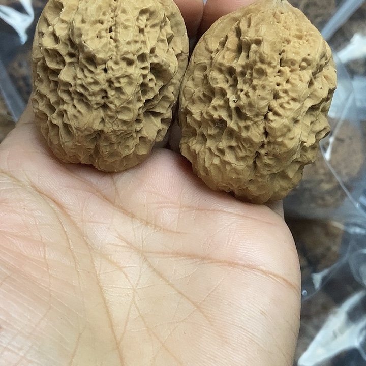 文玩核桃把件云南铁核桃基地2