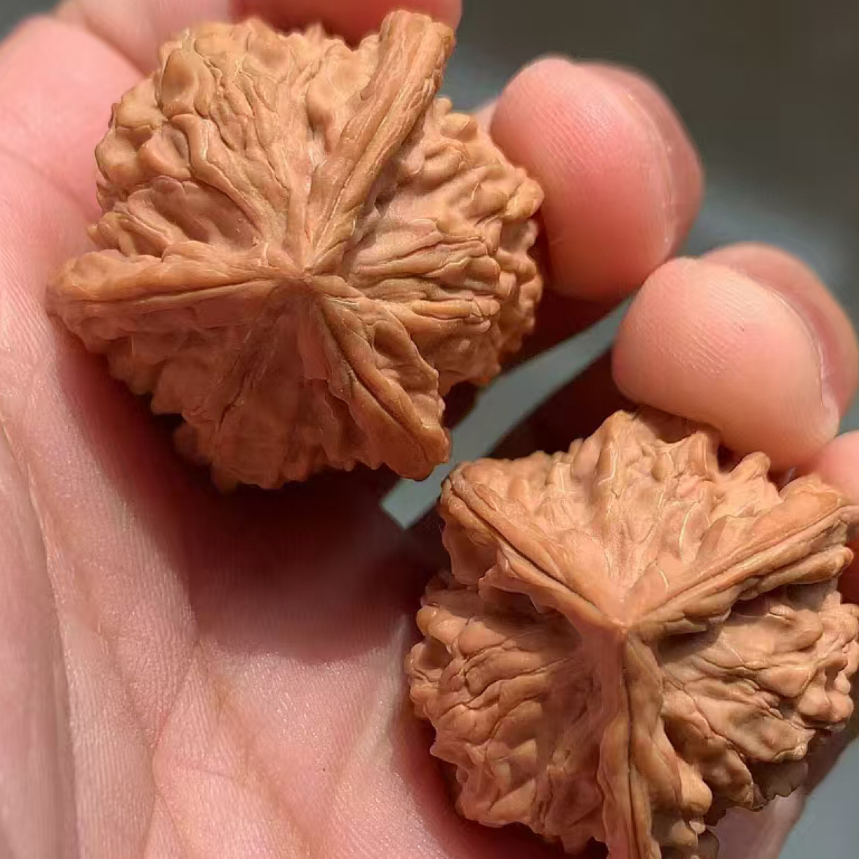 精品文玩核桃盘山三棱青皮与狮子头可盘玩手把件