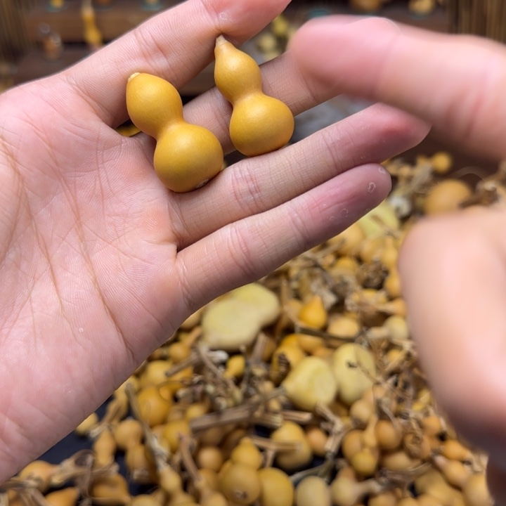 蒙***河仿佛感觉看见出风格
