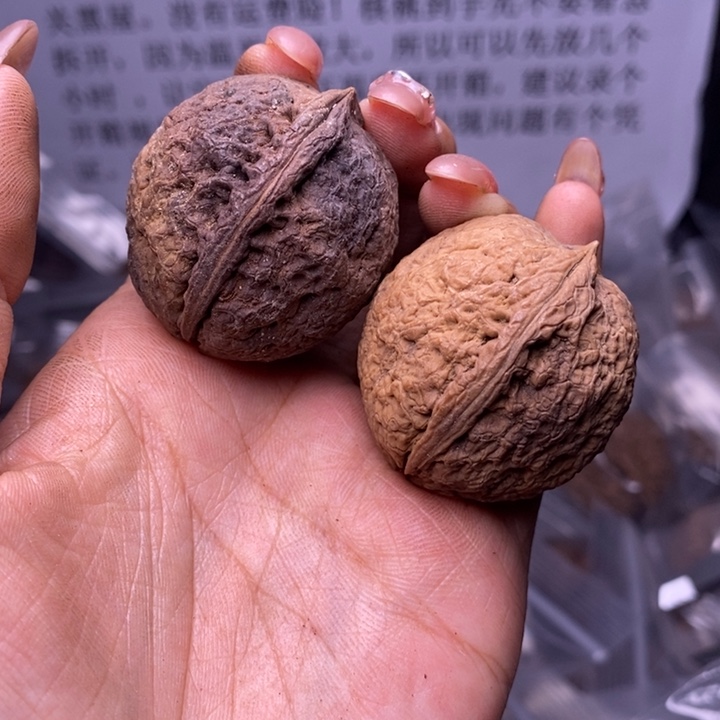 核桃云南野生铁核桃161号36mm