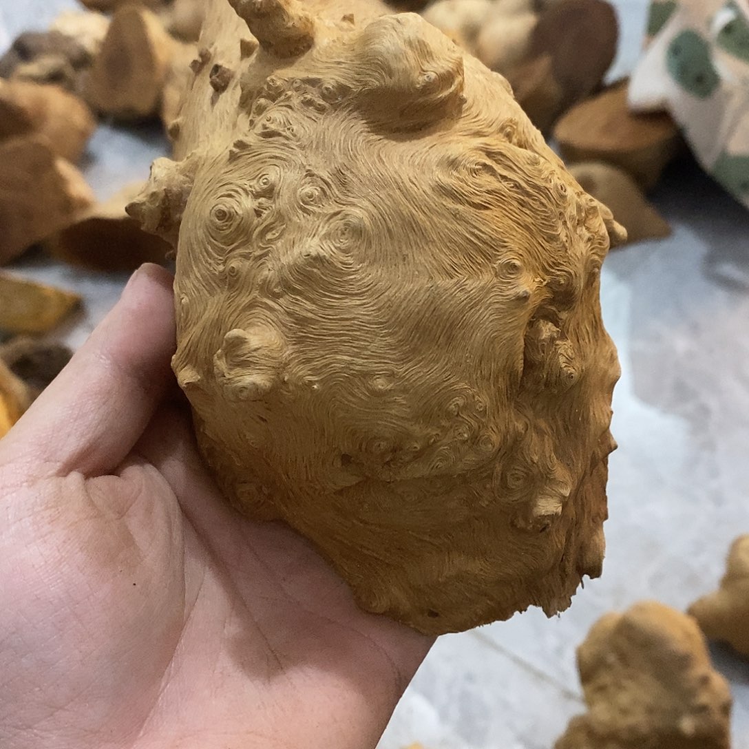 真***诚荔枝木荔枝木原料