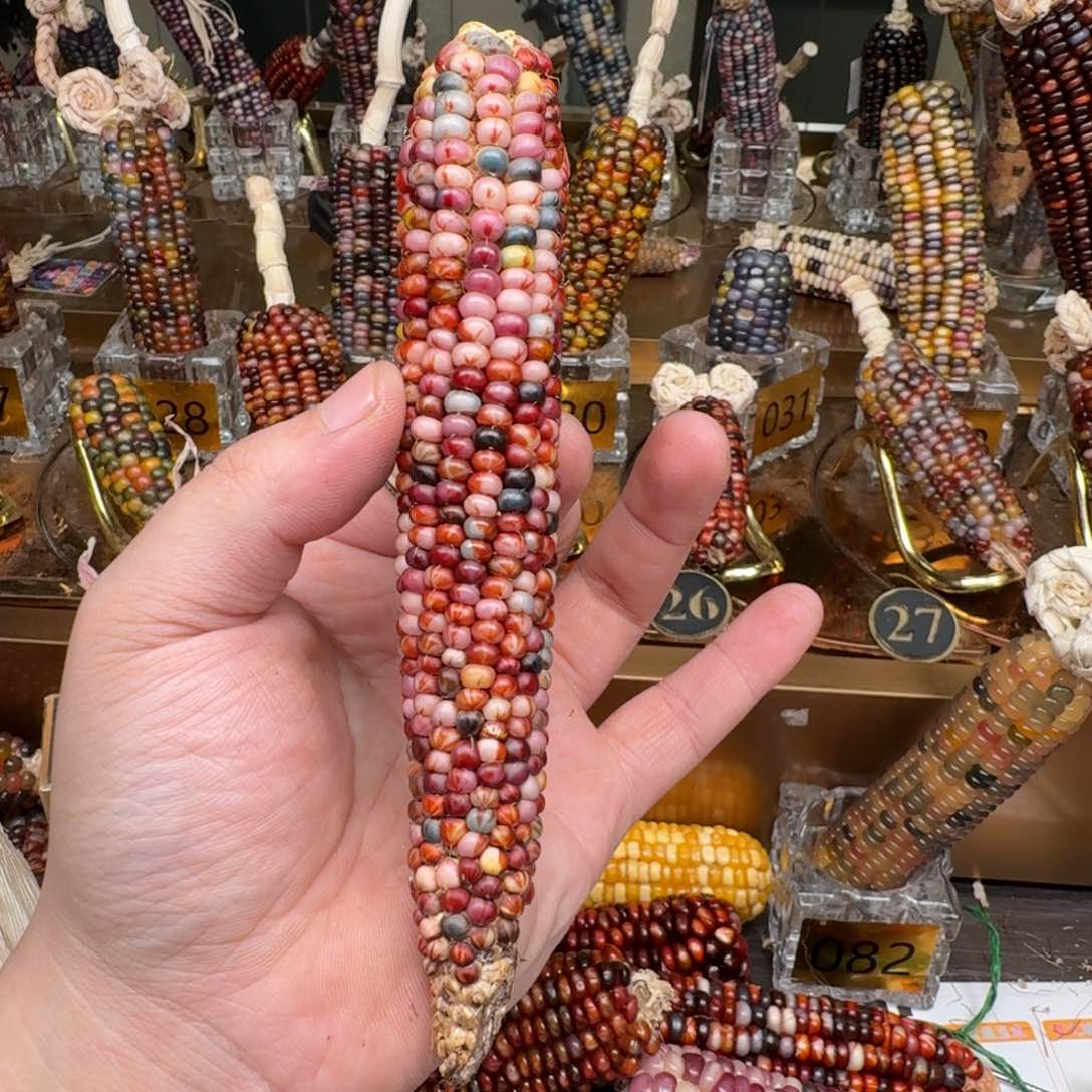 柏香籽/百香籽吊坠Y***贝