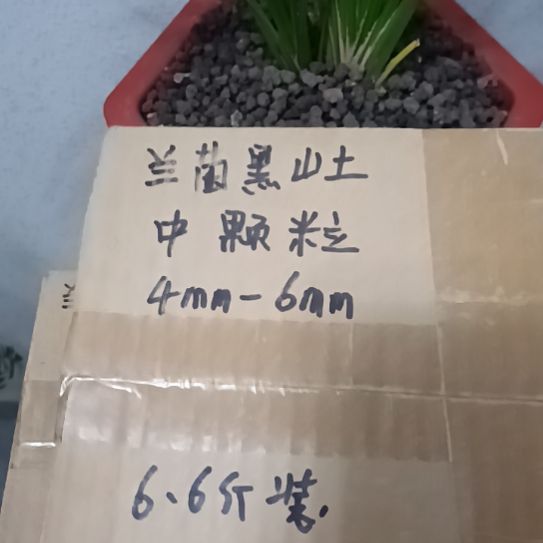 天***空兰菌黑山土中颗粒6.6斤