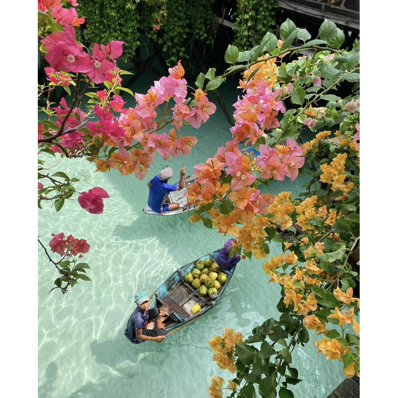 沉香DS-02-450 红红108发一