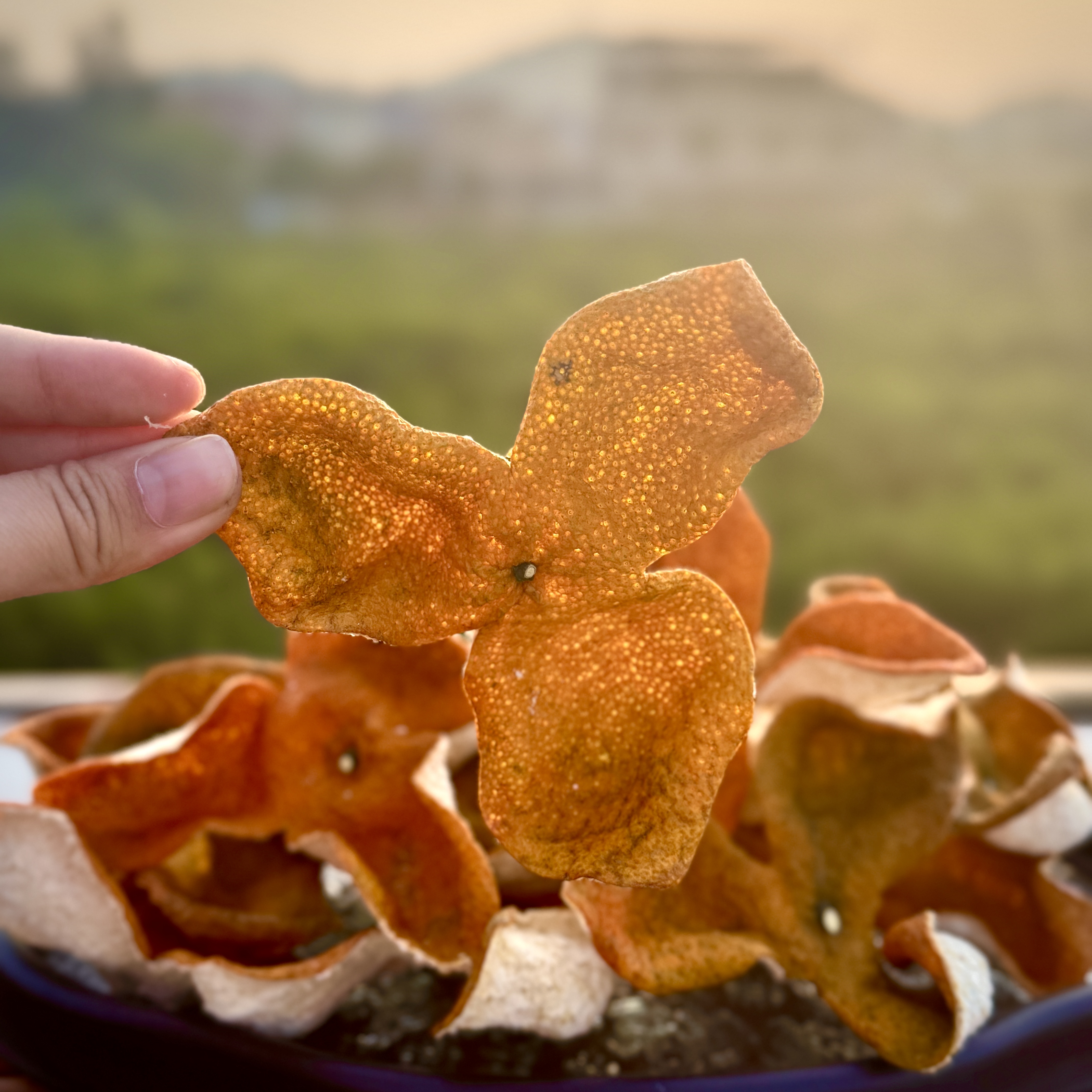 【2025年茶坑16年老树圈枝大红油皮仔】新会陈皮干仓存储自然生晒