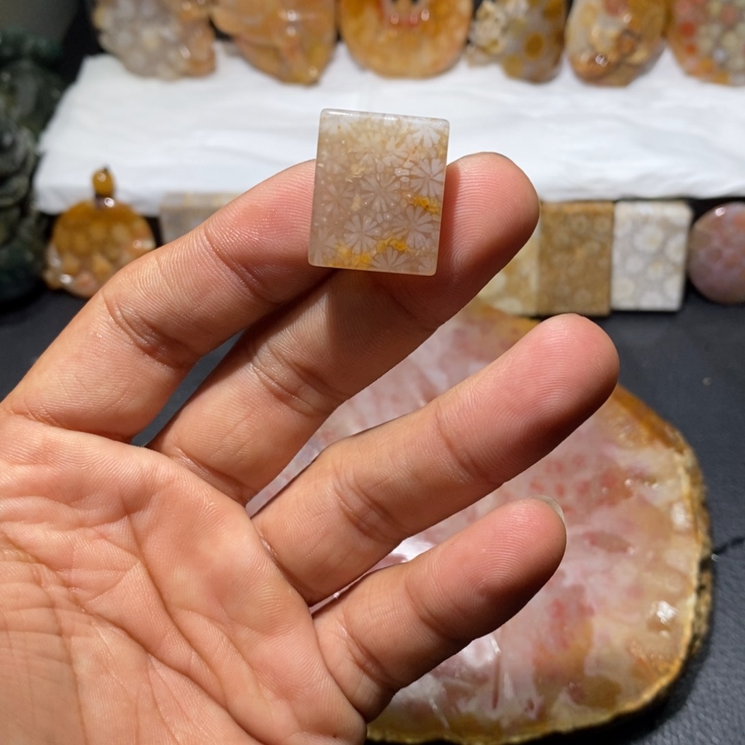 【闪购商品】硅化玉颈饰未镶嵌