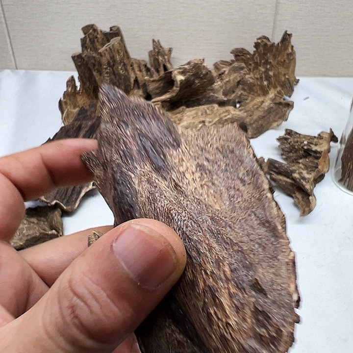 沉香碎屑沉香壳子1