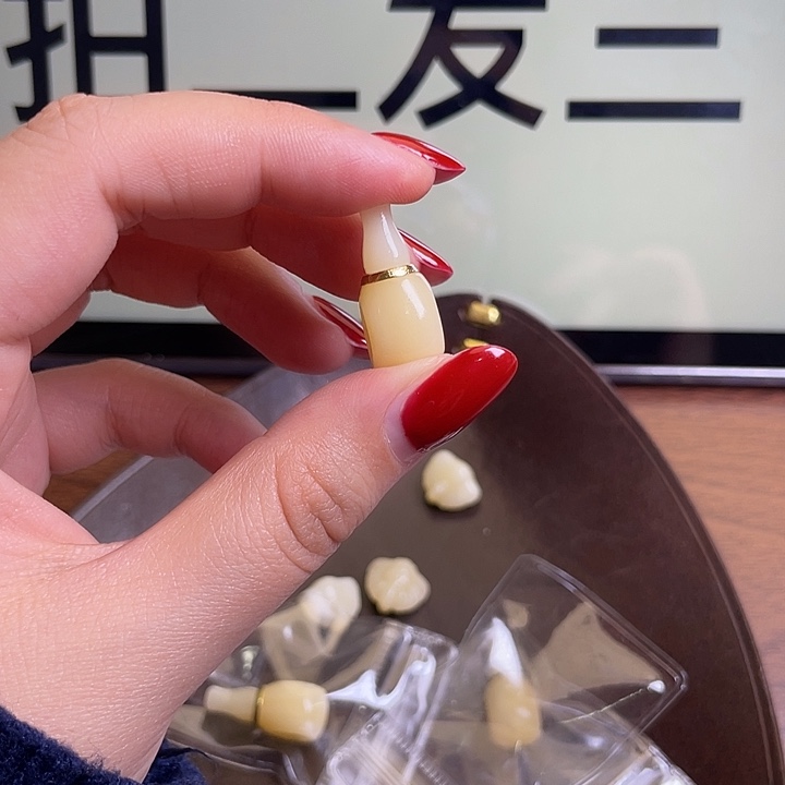 驼骨手串/手链0168