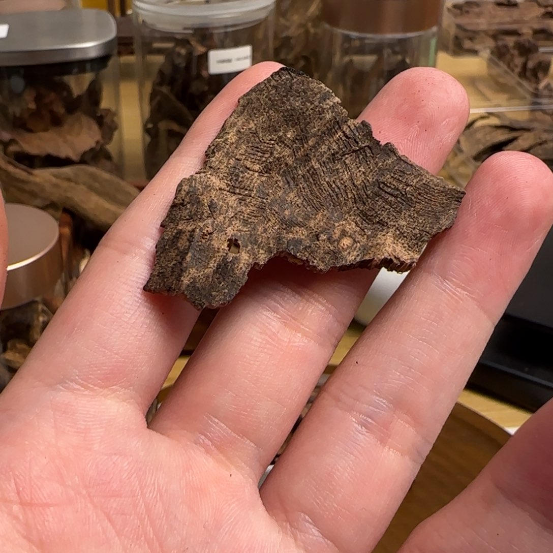 越南包壳料沉香沉香1.6克