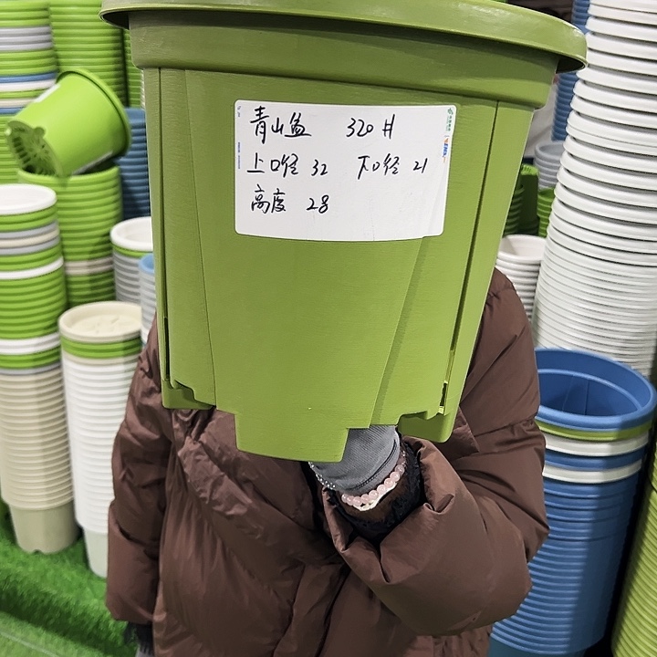 特价青山口32高28果绿无托5只