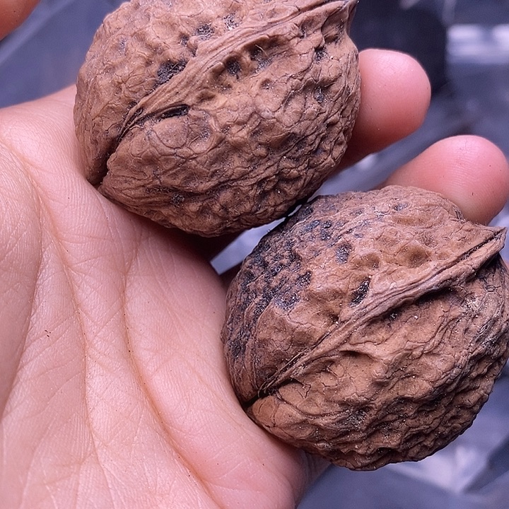 文玩核桃把件   236